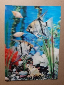 Vintage 3D Lenticular Postcard 204, AQUARIUM 2, TOPPAN, Zurich, fish - Picture 1 of 2