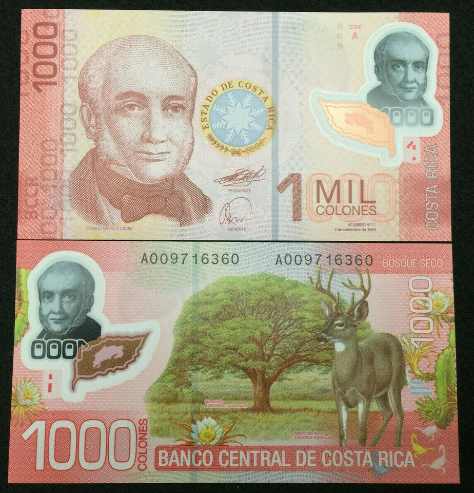Billete de 1000 Colones POLÍMERO Costa Rica Papel moneda mundial UNC moneda Bill Foto 1 de 3