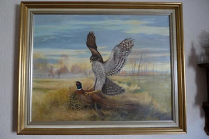 Öl Gemälde  W. Ahrens  "Habicht schlägt Fasan"  1974 - Bild 1 von 3