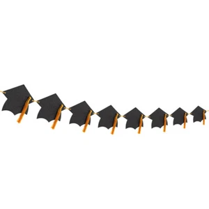 Doctor Hat Pull Flower Personal Graduation Banner Graduate Decor - Picture 1 of 12