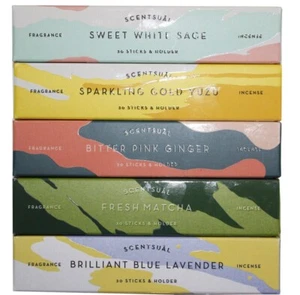 Palitos de incienso de fragancia para el hogar con aroma japonés Nippon Kodo, 30 palitos cada uno - Imagen 1 de 24
