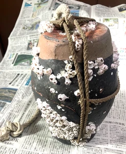 TAKOTSUBO Oktopusfalle japanische alte Keramik H10,4 Zoll 102,1 Unzen mit Seepocken & Seil - Bild 1 von 13