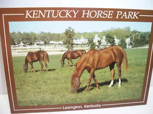 Cartolina d'epoca Lexington Kentucky Horse Park non spedita - Foto 1 di 2