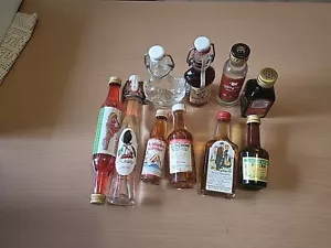 Kleine Flaschen - Miniflaschen - Schnapsflaschen - 10 Stück - Bild 1 von 11