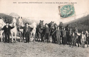 CPA 15 LE CANTAL - Cavalerie du Bois Noir - Imagen 1 de 2