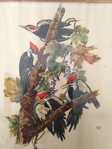 ❤️Hermoso marco raro firmado muy antiguo de pájaros carpinteros de alrededor de 1950❤️ - Imagen 1 de 9