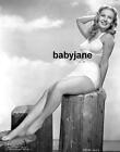 080 VERONICA LAKE PINUP IN TWO PIECE BATHING SUIT PHOTO