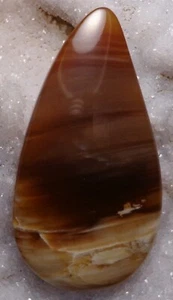 WRG- Agatized / Petrified Wood Designer Cabochon 37mm x 20mm x 5.2mm - Picture 1 of 4