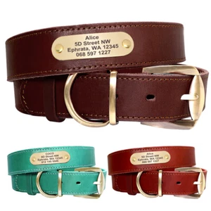 Personalisiertes Leder Hundehalsband Mit Gravur Namen Hunde Halsband Braun Rot - Picture 1 of 18