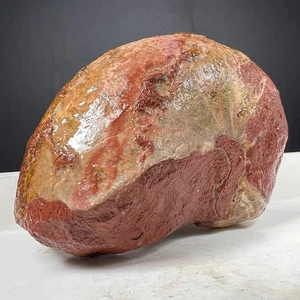 431Gr COLLETTORE INTERO PERMIANO GRANDE NAUTILUS FOSSILE CALCITE MOLLUSCA TIMOR - Foto 1 di 13