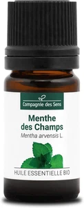 MENTA DEI CAMPI (Mentha Arvensis) BIO - 5Ml - Olio Essenziale Di Qualità Premium - Foto 1 di 12