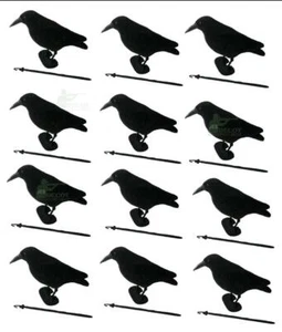 Flocked Crow Decoy Full Body 12 Whole Rook Raven Shooting Hunting Feet & Stake - Picture 1 of 4