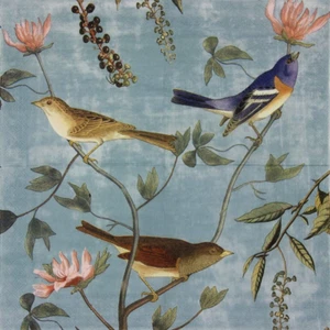 Decoupage Paper Napkins, Luncheon Tea Party Napkins Serviettes Printed Birds 20 - Picture 1 of 12