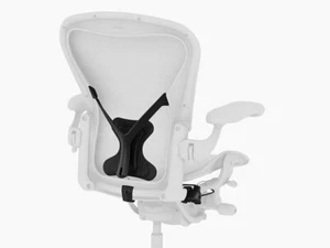 Herman Miller Aeron Size B Classic PostureFit Support Kit chair - FREE SHIPPING - Picture 1 of 11