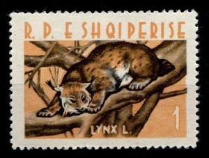 Luchs. 1W. Albanien 1962 - Bild 1 von 1