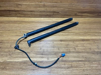 Mercedes-Benz GLS450 2007-2019 juego de 2 elevadoras de escotilla trasera izquierda y derecha OEM Foto 1 de 4