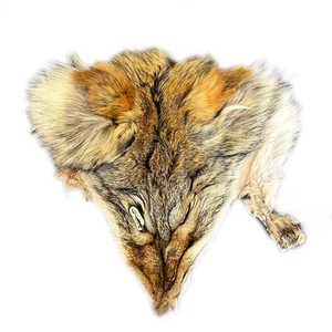 Echtes Kojotenkopf Fell Pelzfelle Häute Imitat Wolfskopf Haut Pelze, Pelze De... - Bild 1 von 9
