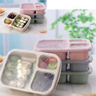 Healthy Storage  Lunch Box Boxes Square Food Container Partition Microwave