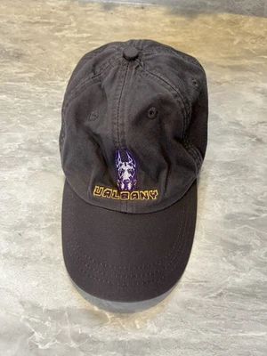 Gorra de béisbol UAlbany gris para hombre ala curva polo colegial 100 % algodón talla única Foto 1 de 4