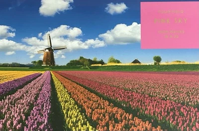 Tulip Fields, Pink Sky Brand, Jigsaw Puzzle 1000 Pieces SEALED New In Box Foto 1 de 4