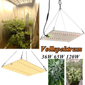 LED Pflanzenlampe Vollspektrum LED Gewächshaus Lampe Grow Light Wachstumslicht - Afbeelding 1 van 20
