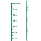 Height Chart Ruler 180cm Metric System PVC with Transfer Film Dark Green