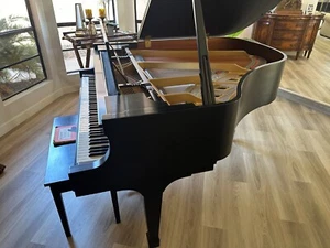 Boston Baby Grand Piano - Picture 1 of 1