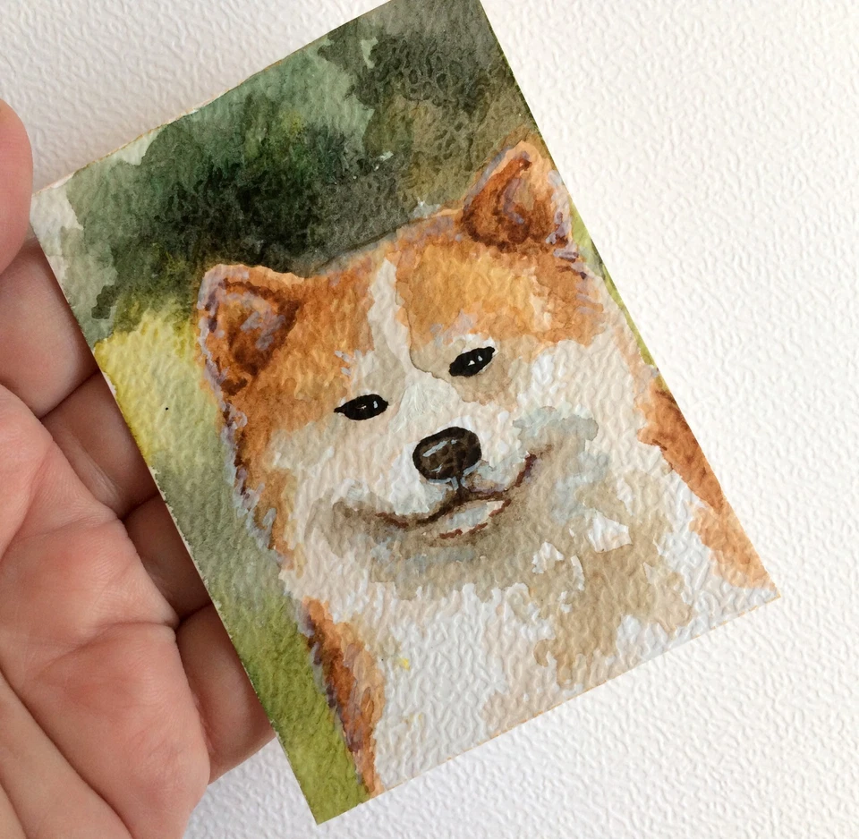 aceo original painting dogs Watercolor. Portrait of a Red Akita Inu Pet portrait - Image 1 of 4
