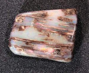13,2 ct stabiler opalisierter Kegelholz Cabochon Virgin Valley Nevada - Opal Fossil - Bild 1 von 8