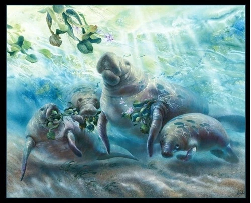 Gentle Giants Manatees Mother and Calves 36x44 Large Cotton Fabric Panel - Image 1 of 1