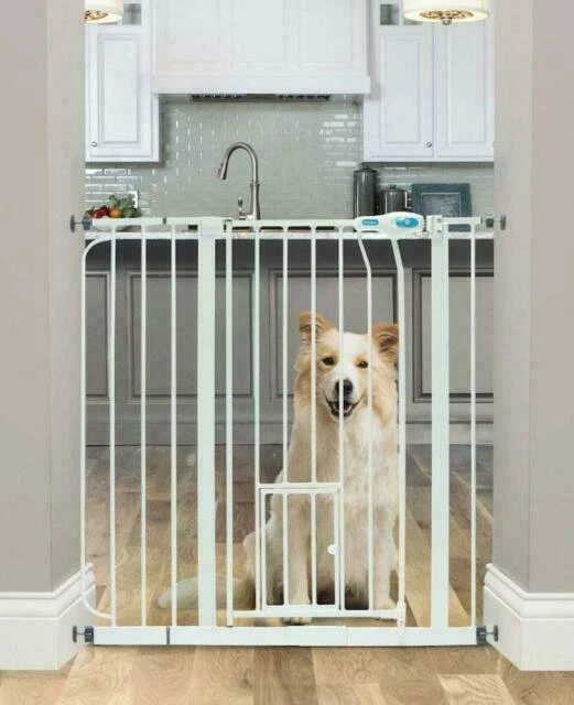 Carlson Pet Products 0930PW Walk Through Pet Gate