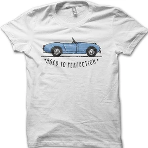 Aged To Perfection Classic Retro Motorsport Vintage Car T-Shirt 06163 - Picture 1 of 6