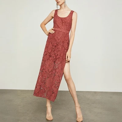 NUEVO CON ETIQUETAS NUEVO VESTIDO BCBG Maxazria óxido panel largo encaje floral talla 4 Foto 1 de 4