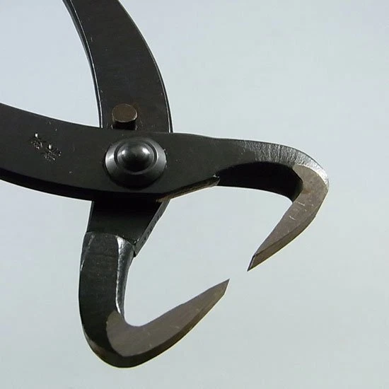 Kaneshin Bonsai Herramientas Tronco Divisor Nº16 210mm Hecho en Japón NUEVO Foto 1 de 4