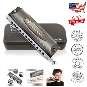 Compact 12-Hole Chromatic Mouth Organ - Complete Set with Carrying Case & Cloth - Picture 1 of 9