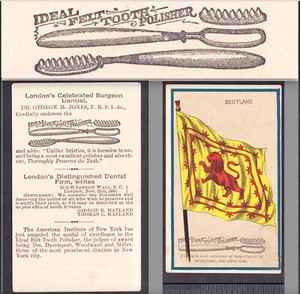 Antique Ideal Felt Tooth Polisher NY Expo Dental Toothbrush Victorian Trade Card