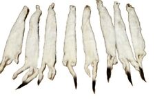 Tanned Weasel, Prime winter white, black tip tail, Ermine, Crafts, Fur