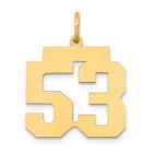 14K Yellow Gold Medium Polished Number 53 Charm LM53