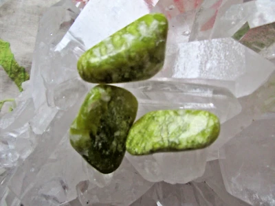 3 farbintensive Lizardit- Trommelsteine AA-Qualität, Gewicht insg. ca. 18 g - Bild 1 von 2