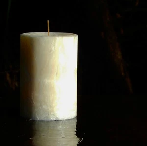 200 hour IVORY LINEN Pure Plant Based NATURAL MOZZIE REPELLENT CITRONELLA Candle - Picture 1 of 12