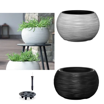 Blumentopf Schale Einsatz Kugelförmig Pflanzkübel rund Rillendesign Bewässerung - Bild 1 von 4