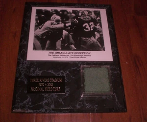 PLACA DE CÉSPED ESTADIO TRES RÍOS RECEPCIÓN IMPECABLE ACEROS FRANCO HARRIS - Imagen 1 de 1