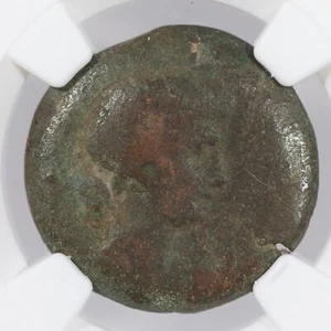 Livia, Wife of Augustus AE Diobol Roman Province of Egypt 14-29 AD NGC Genuine - Picture 1 of 4