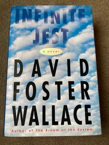 Infinite Jest by David Foster Wallace (1996 first edition, 3rd print) - Picture 1 of 8