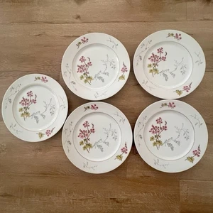 5 PCs Charles Field Haviland Limoges Spring Blossom Dinner Plates 10" Vintage - Picture 1 of 6