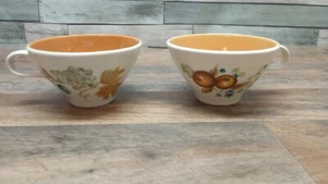 Irokesen informelle alte Obstgarten Tee/Kaffeetasse Ben Seibel Vintage MCM Set 2 - Bild 1 von 6