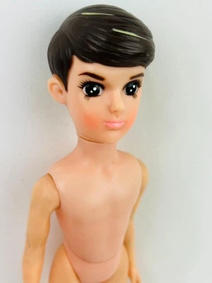 Muñeca Takara Licca-chan Primer Novio Wataru Kun Tachibana De Colección Rara Japón Foto 1 de 4