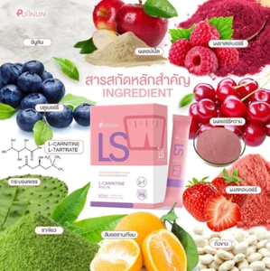 6x L-Carnitine Inulin Instant Powder Control Hunger Weight Management Puiinun LS - Picture 1 of 6