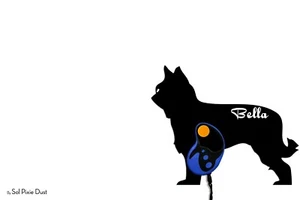 Berger Picard Perro - Nombre Personalizado Perro Portacorrea - Gancho de Pared - Imagen 1 de 3