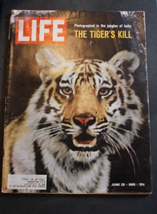 Vintage LIFE Magazine June 25 1965 The Tiger's Kill Great Mid Century Ads Photos - Picture 1 of 12